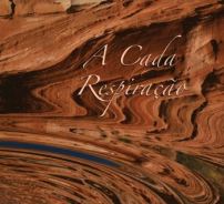 a cada respiração livro meditação